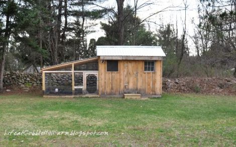 Chicken Coop 101 Image